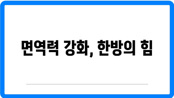 정릉동 한의원에서 해결하는 다양한 건강 문제| 한방 치료의 효과와 방법 | 정릉동, 한의원, 건강 문제 해결