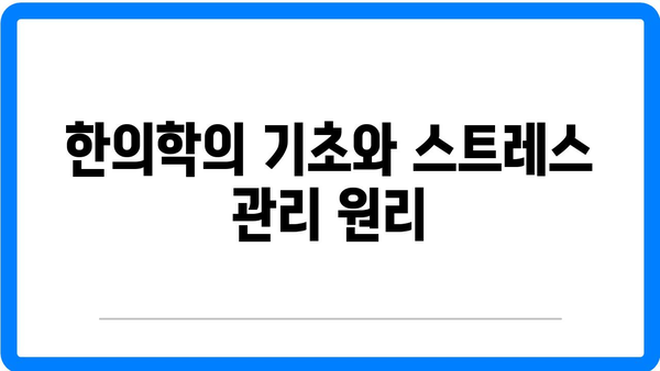 정릉동 한의원에서 스트레스 완화 및 건강 개선의 효과적인 방법 | 한의학, 스트레스 관리, 건강 증진"
