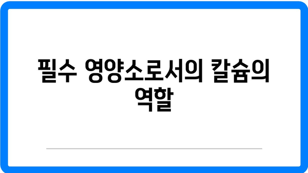 임산부를 위한 최고의 칼슘제 추천 가이드 | 임산부칼슘, 건강, 영양석류