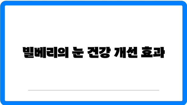 빌베리 효능 알아보자| 눈 건강과 항산화 효과를 극대화하는 방법 | 빌베리, 효능, 건강 팁