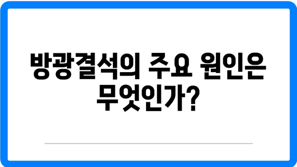 방광결석의 원인과 증상| 효과적인 치료 방법과 예방 팁 | 방광결석, 건강, 의료 정보
