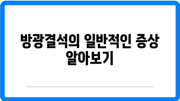 방광결석의 원인과 증상| 효과적인 치료 방법과 예방 팁 | 방광결석, 건강, 의료 정보