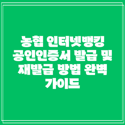 농협 인터넷뱅킹 공인인증서 발급 및 재발급 방법 완벽 가이드