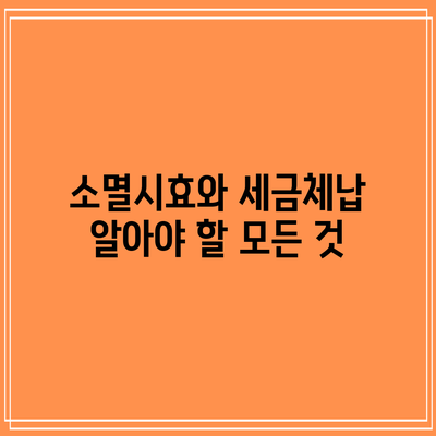 소멸시효와 세금체납: 알아야 할 모든 것