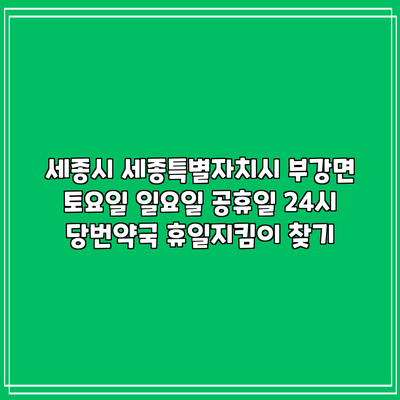 세종시 세종특별자치시 부강면 토요일 일요일 공휴일 24시 당번약국 휴일지킴이 찾기