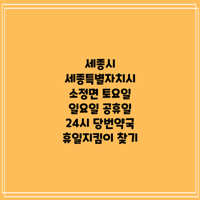 세종시 세종특별자치시 소정면 토요일 일요일 공휴일 24시 당번약국 휴일지킴이 찾기