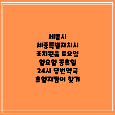 세종시 세종특별자치시 조치원읍 토요일 일요일 공휴일 24시 당번약국 휴일지킴이 찾기