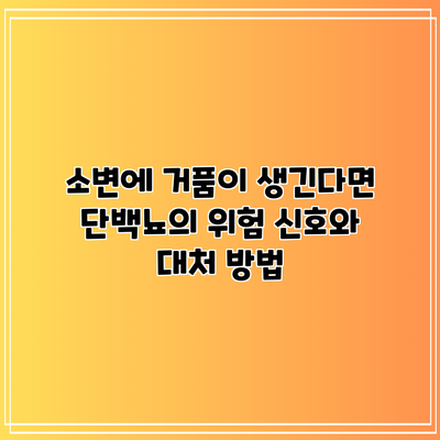 소변에 거품이 생긴다면? 단백뇨의 위험 신호와 대처 방법