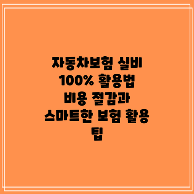 자동차보험 실비 100% 활용법: 비용 절감과 스마트한 보험 활용 팁