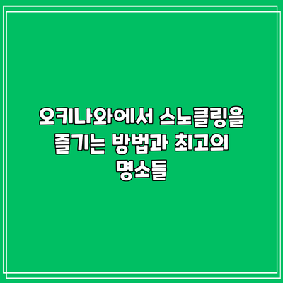 오키나와에서 스노클링을 즐기는 방법과 최고의 명소들