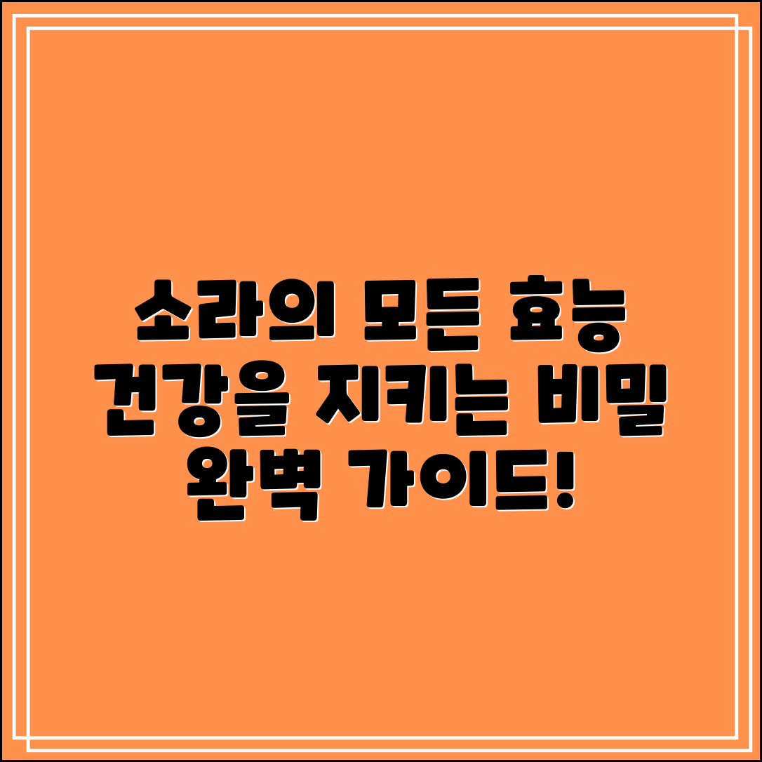 소라 효능 완벽 가이드: 건강을 지키는 비밀