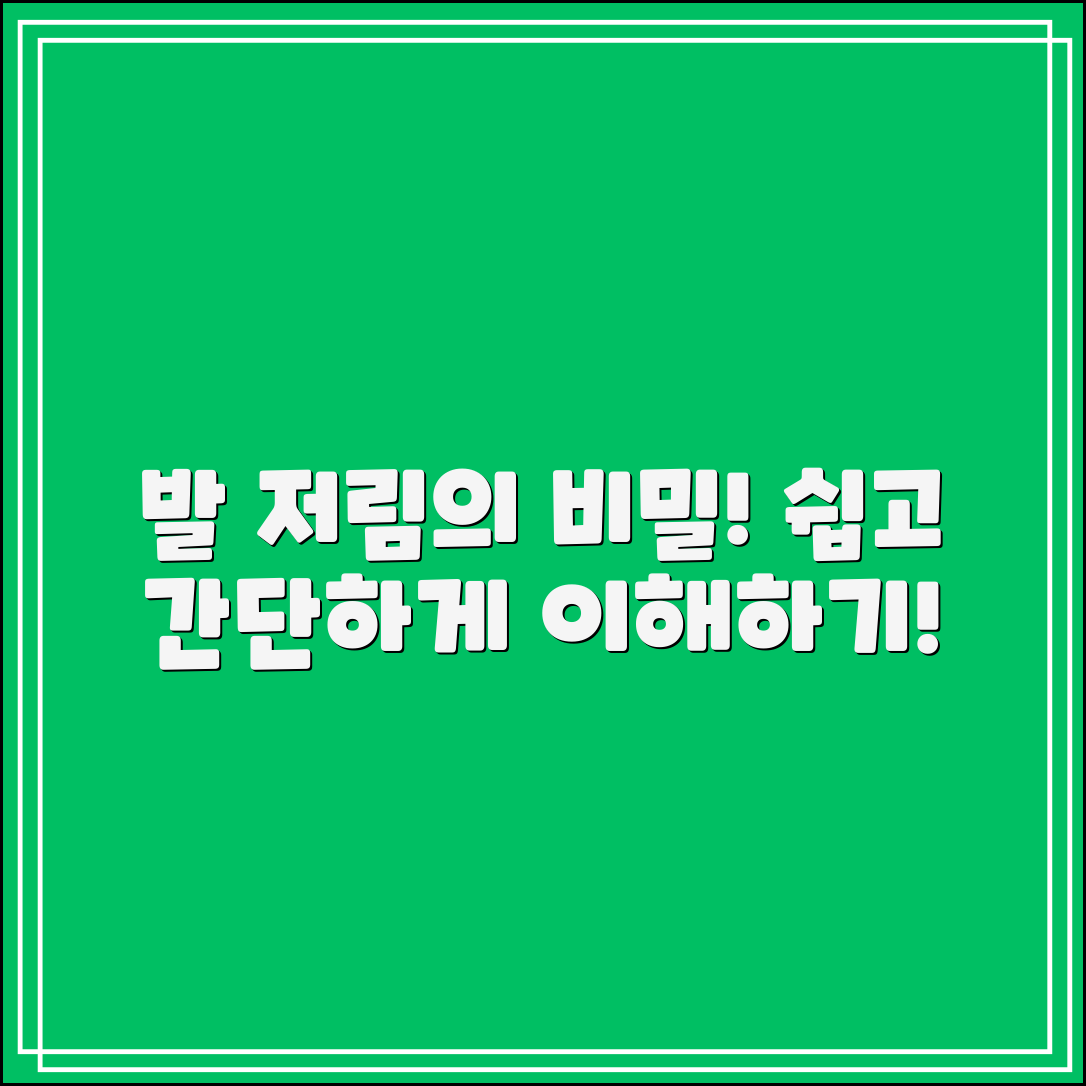 발이 저린 이유, 누구나 쉽게 이해하는 비밀