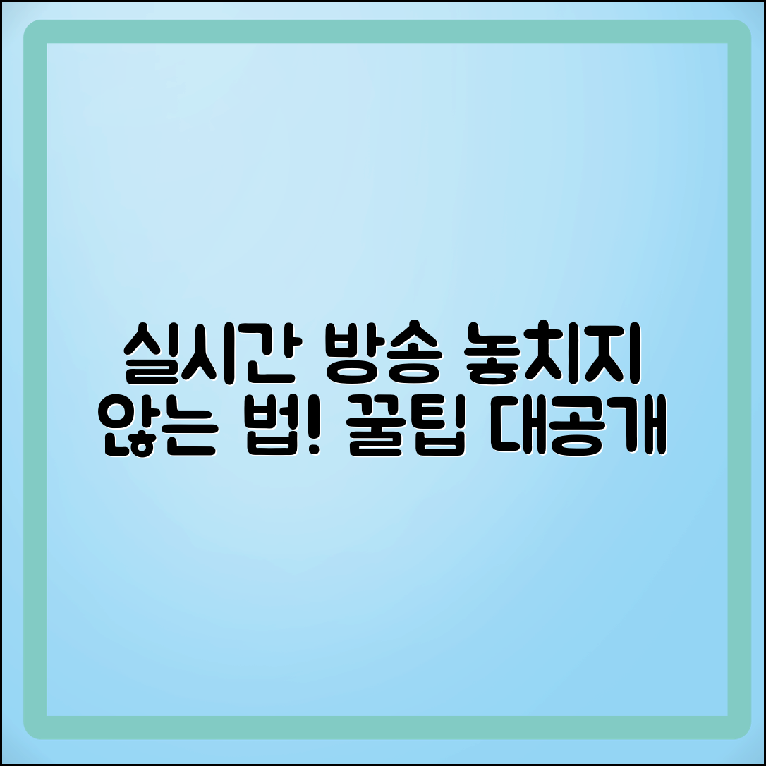 실시간 방송 시청법: 프로그램 놓치지 않는 팁