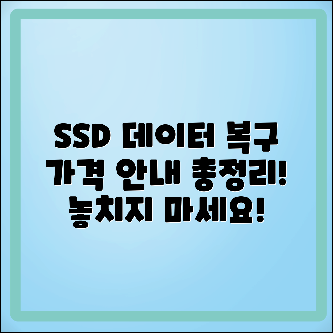 SSD 데이터 복구 서비스 가격 안내 총정리