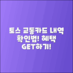 토스 교통카드 내역 확인과 혜택 활용법