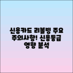 2024 신용카드 리볼빙: 뜻, 주의사항, 신용등급 영향 분석