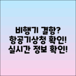 항공기상청으로 비행기 결항 정보 확인하기