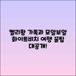 켈리황 가족과 모알보알 화이트비치 재방문 여행 팁