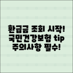 “국민건강보험 환급금 조회 방법과 주의사항”