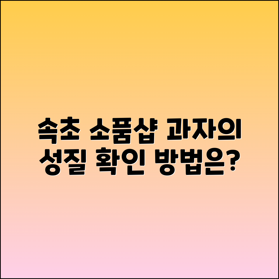 속초소품샵, 과자의성 알아보는 법은?